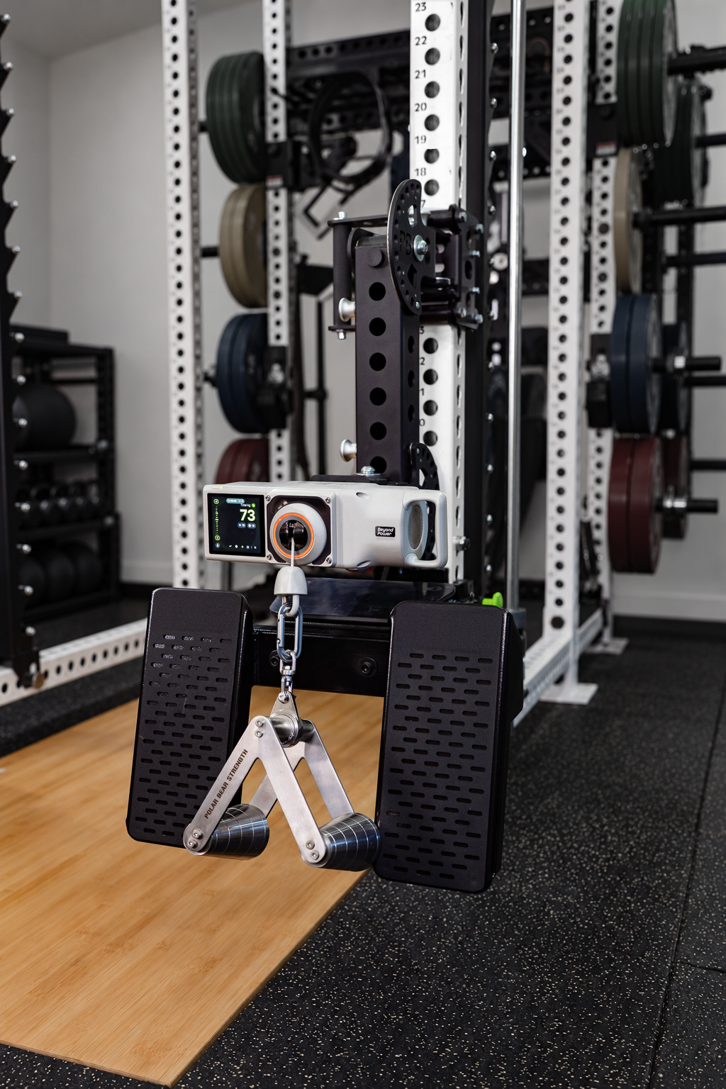 Bear Arm in a low cable row setup with a VOLTRA device, footplates and row handle; accessories sold separately.